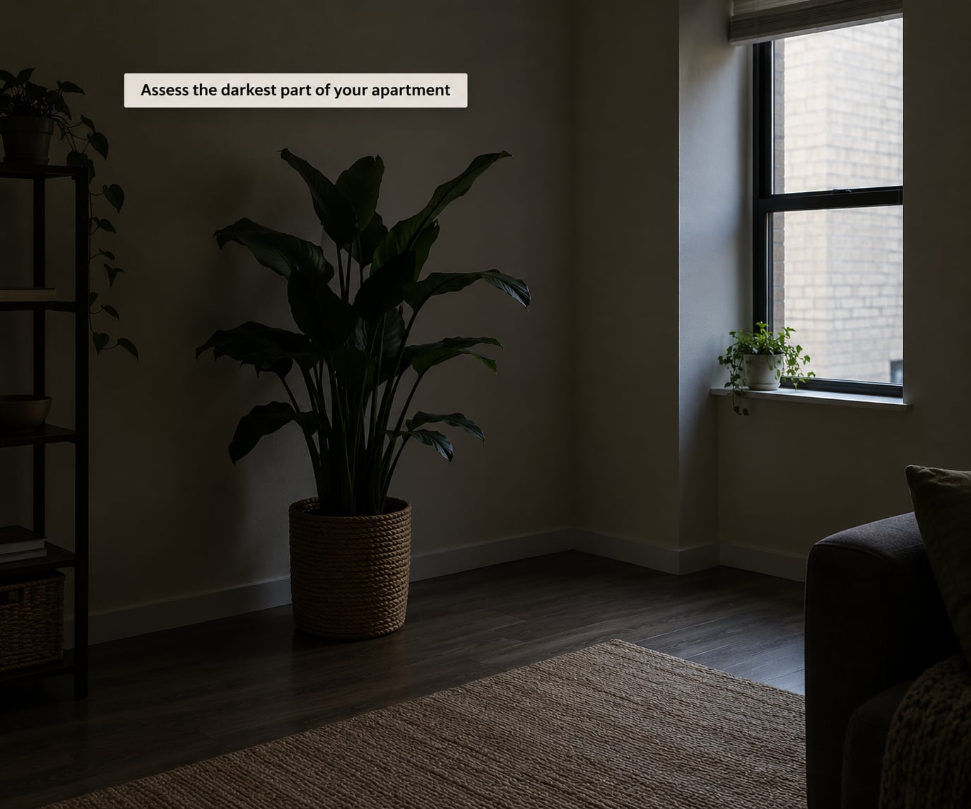 Assess the darkest part of your apartment